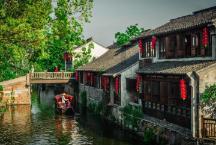 莴笋的叶子能吃吗?可以制作成什么美食?-专业知识问答网站